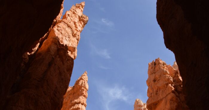 Hey Pandas, What’s The Picture You Took That You’re Most Proud Of?