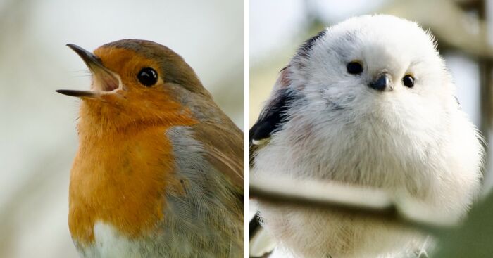 Hey Pandas, Post The Best Photographs You Took In March (Closed)