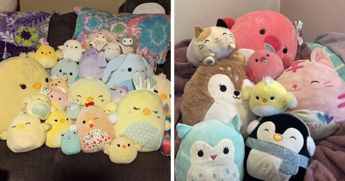 Hey Pandas, Show Me Your Collection Of Squishmallows (Closed)