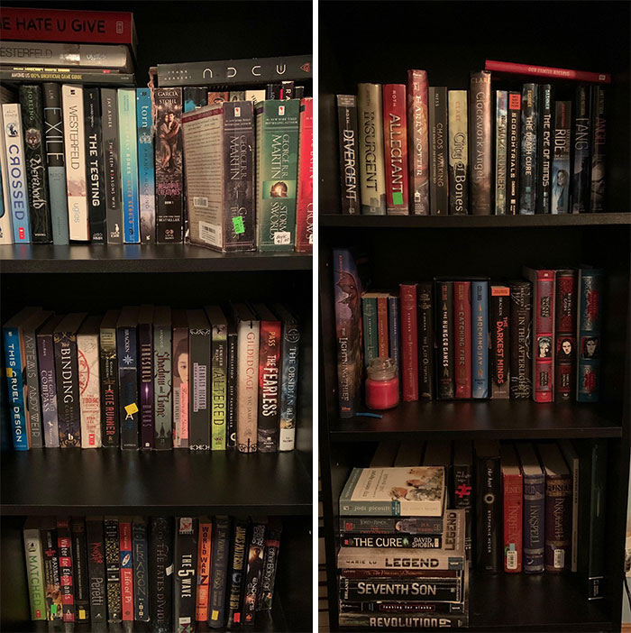 Mom Always Said “Don’t Waste Your Money On Stupid Books!” So Here’s My Collection Of Fully Thrifted/Donated Stupid Books