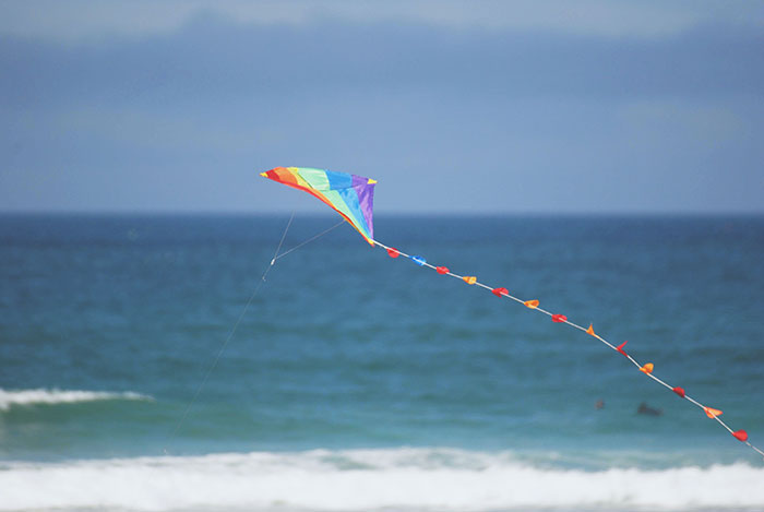 Kite flying beside seashore