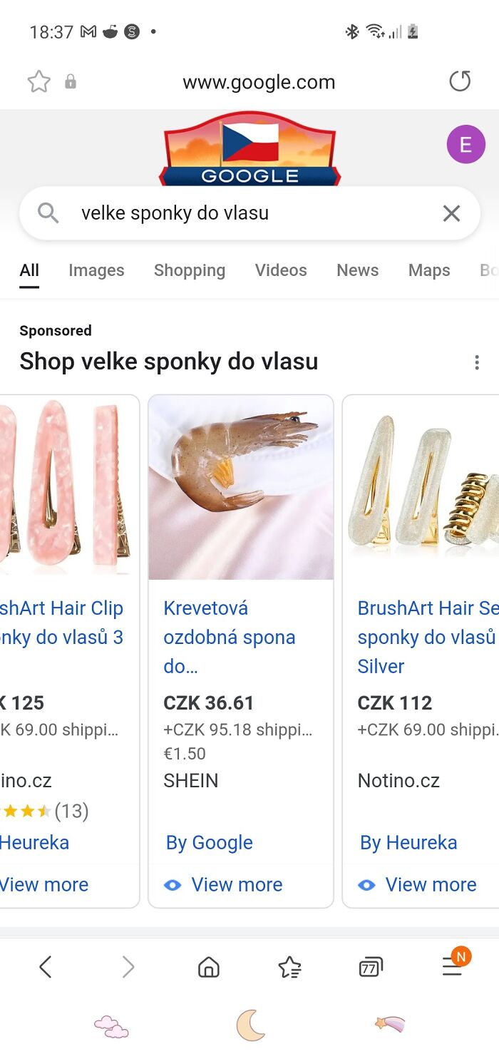 I Was Looking For Big Hair Clips, This Was Shein's Offer Xdd