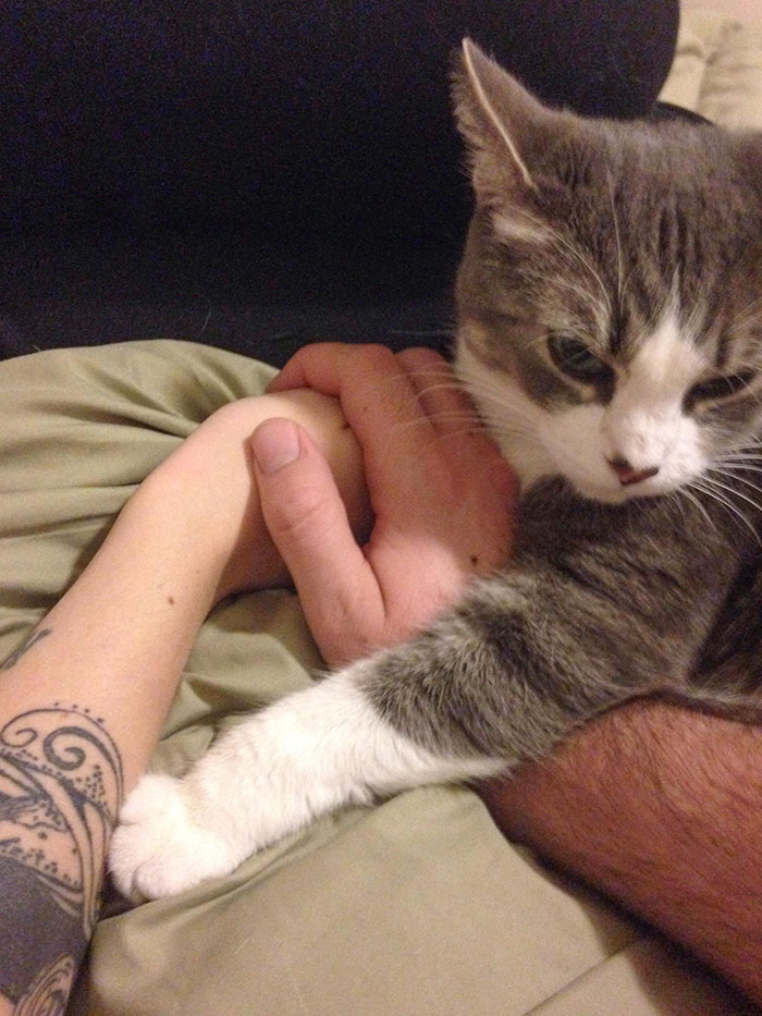 GF And I Were Holding Hands. Then This Happened
