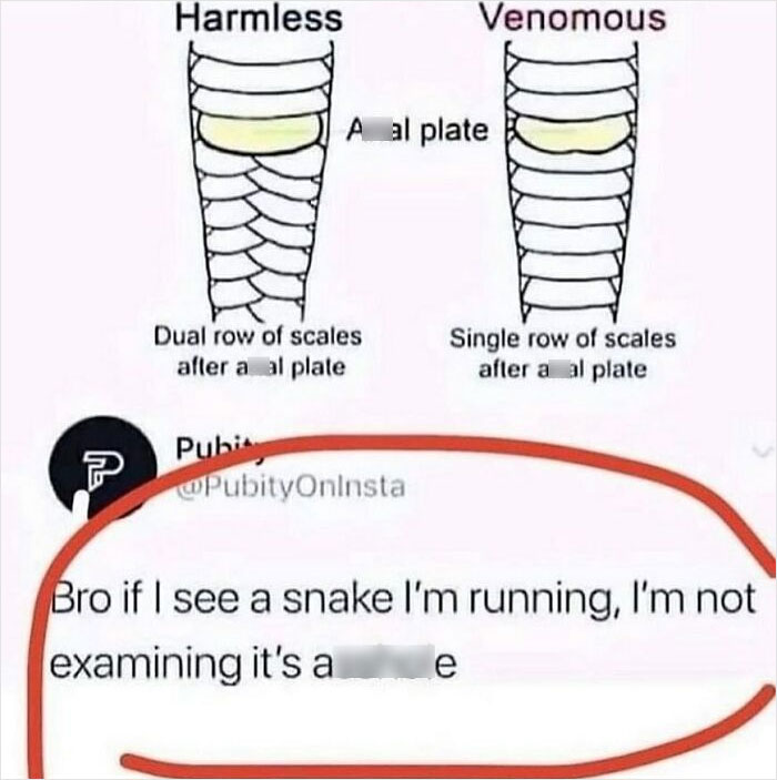 Funny-Low-Quality-Stories