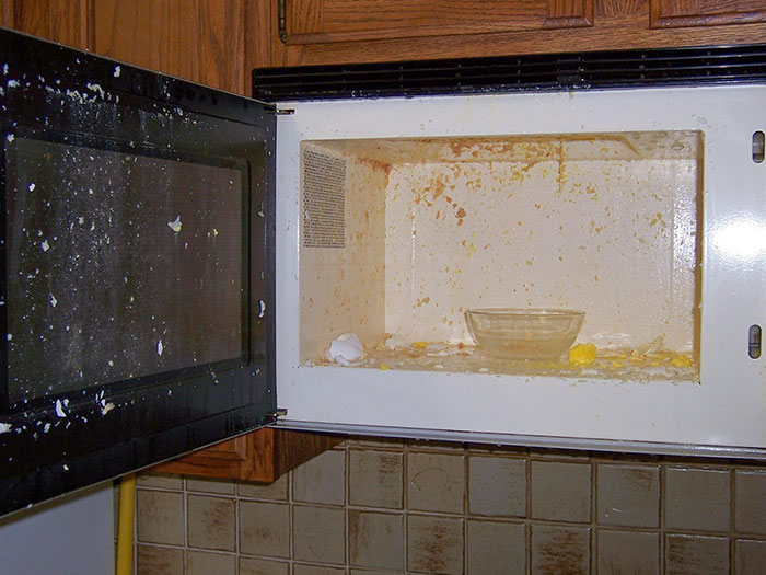 Boil An Egg In The Microwave, They Said... It Will Be Fine, They Said