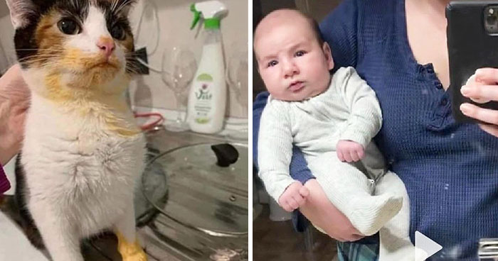 50 Funny “Uncomfortable Memes” To Make You Laugh, As Shared On This Facebook Page