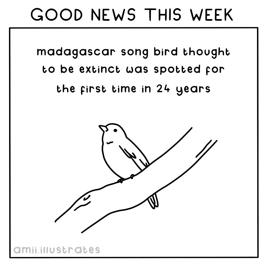 I Illustrated 8 Positive News Stories To Give You Hope For Our Planet