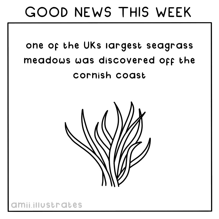 I Illustrated 8 Positive News Stories To Give You Hope For Our Planet