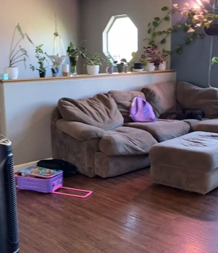 Woman Shows What Her Home Looks Like After She Doesn't Clean For 6 Days, Divorces Her Husband Woman Shows What Her Home Looks Like After She Doesn't Clean For 6 Days, Divorces Her Husband