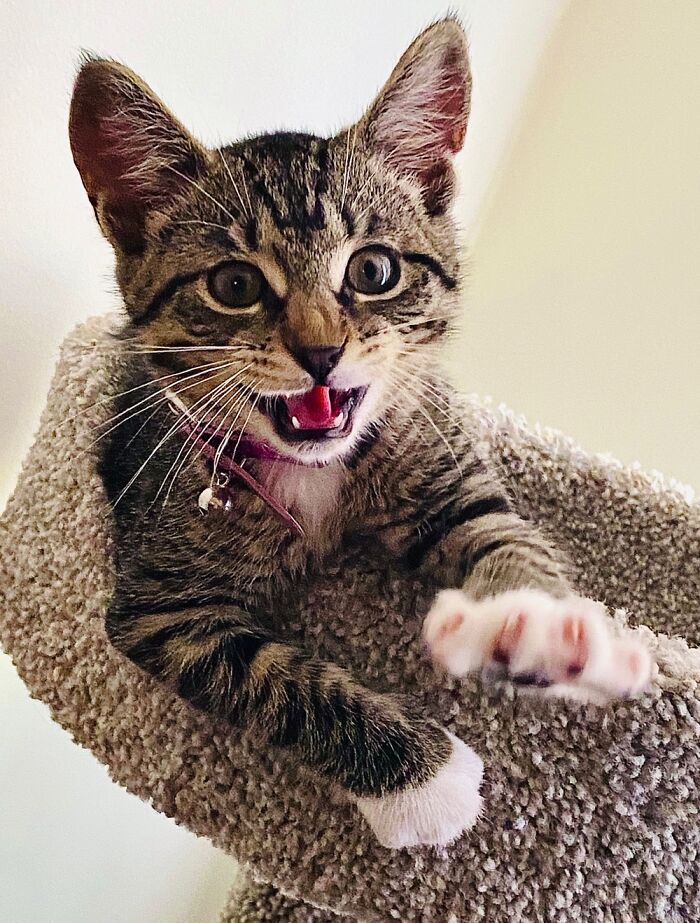 This Is Zen, But Not So Zen