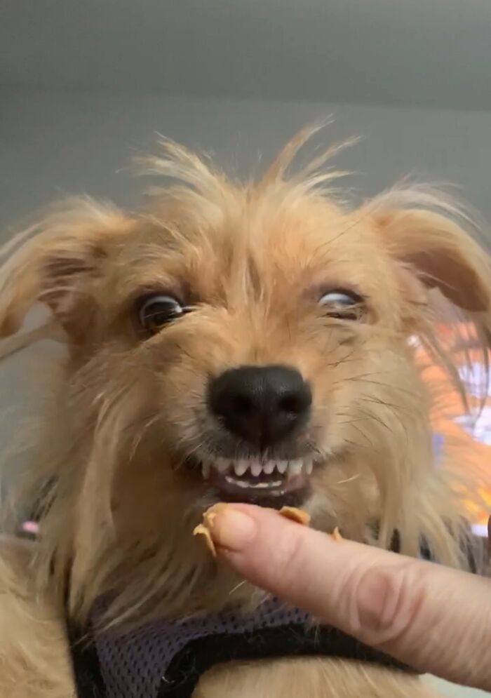 Mo Has An Underbite. This Is How He Has To Eat Most Things