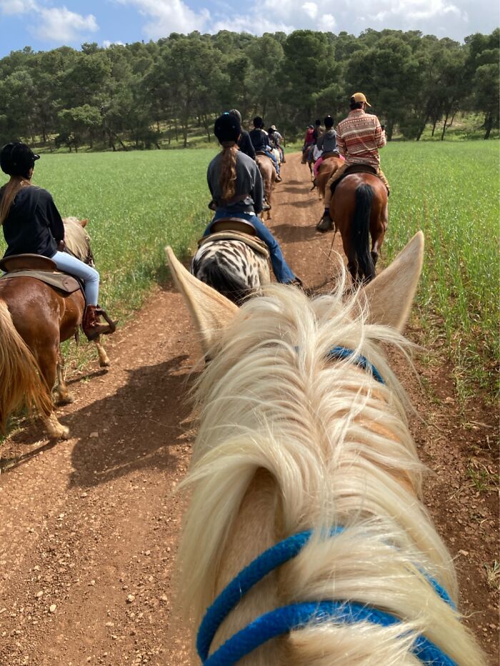 An Amazing Ride To Mount Gilboa