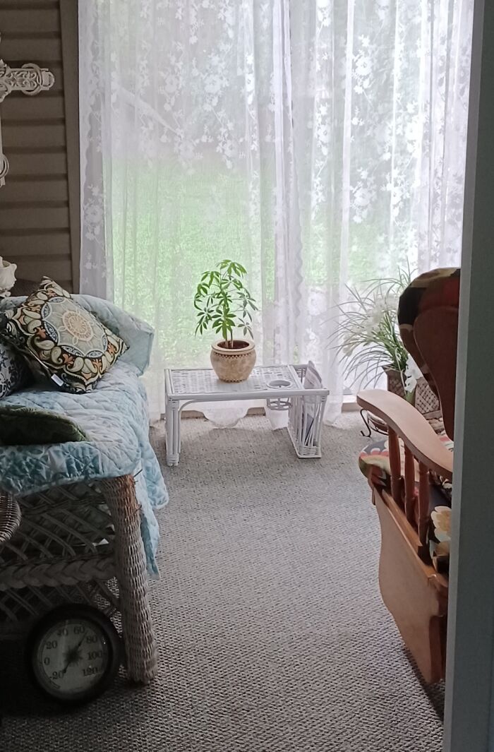 My Screened Porch With Lace Curtains, Laying On Rattan Love Seat, Gentle Breeze Drifting In