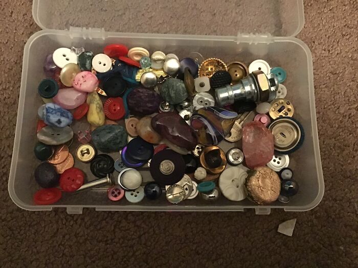 Things. I Just Collect Things. Buttons And Rocks And Screws And Beads And Coins And Marbles And Beads And Earrings And Paper Clips. Most Of Them Are Shiny. My Mom Calls Me A Crow (But I’m Cool With That Crows Are Amazing!!!)