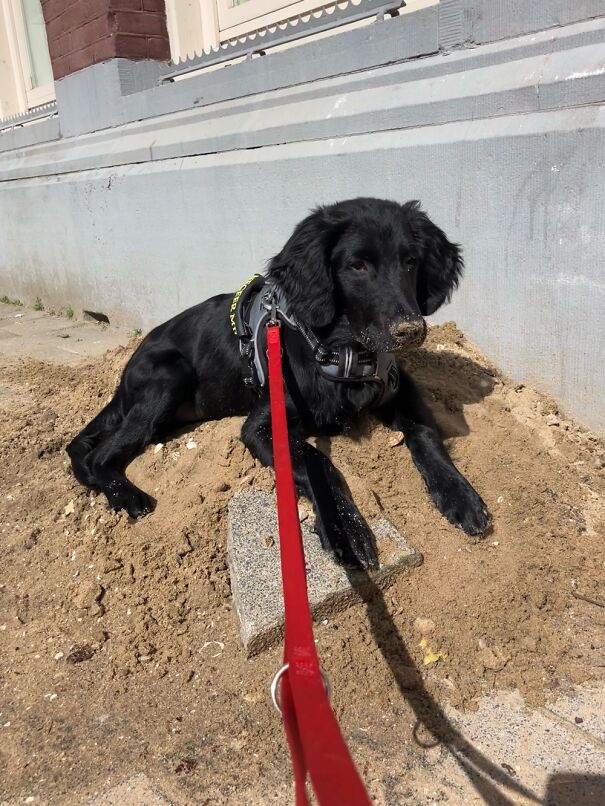 I Think He’ll Like The Beach