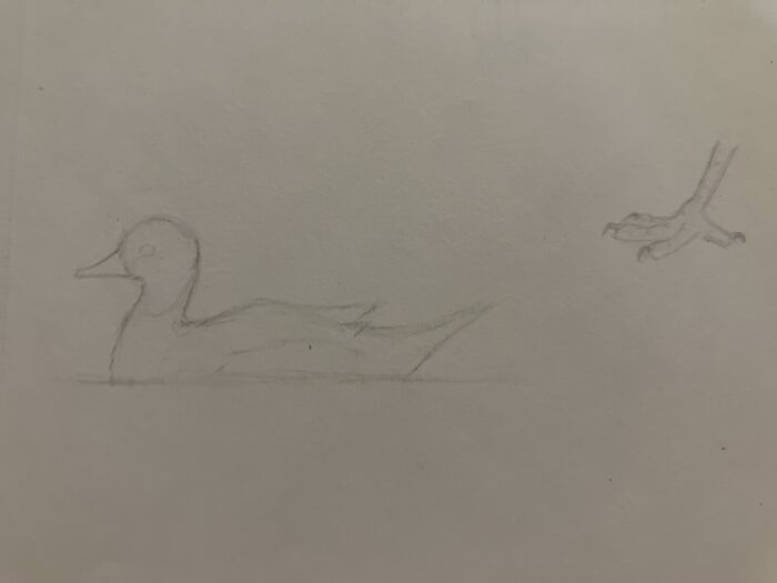 I Was Drawing Some Birds, I Like Nature Journaling