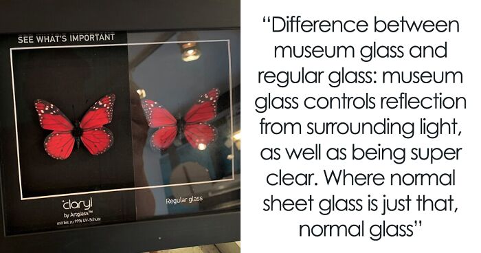 “Unbelievable But True”: 40 Random Facts And Curiosities About The World Shared On This IG Page