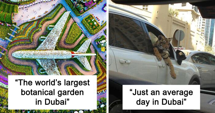 “Meanwhile In Dubai”: From Golden Cars To Crazy Views From Skyscrapers, Here Are 118 Pics To Illustrate What Life In Dubai Is Like