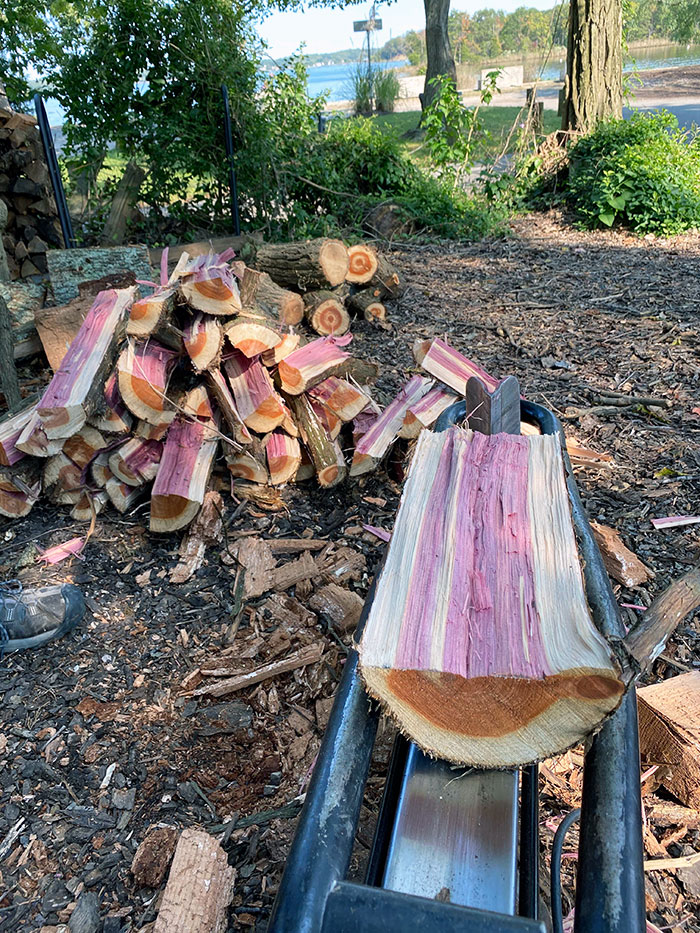Esta madera de cedro que estaba cortando era de color púrpura en su interior 