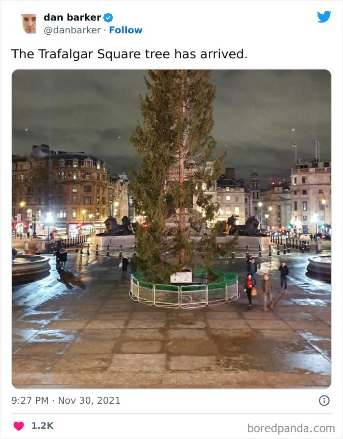 Every Year Norway Sends A Christmas Tree To The UK To Thank Britain For Its Support During The Second World War. What Did We Do To Anger You Guys This Year?