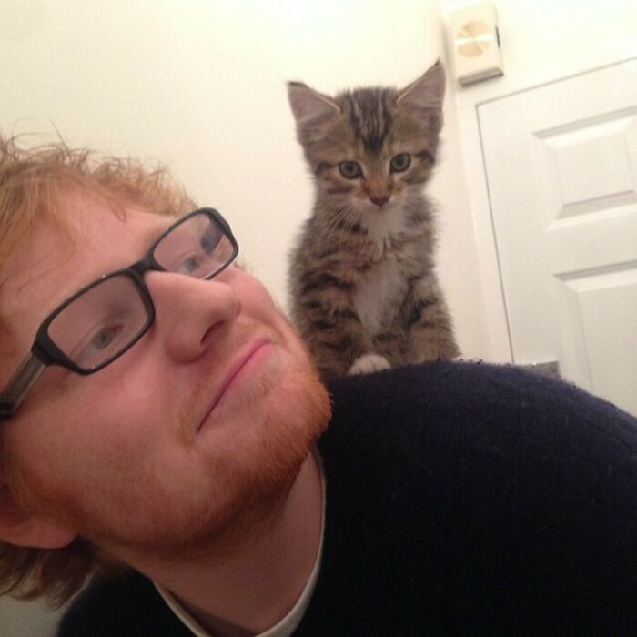Ed Sheeran With Teddy