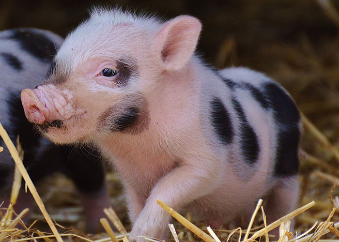 30 On-The-Nose Facts That Many Of Us May Feel Stupid For Not Realizing Earlier