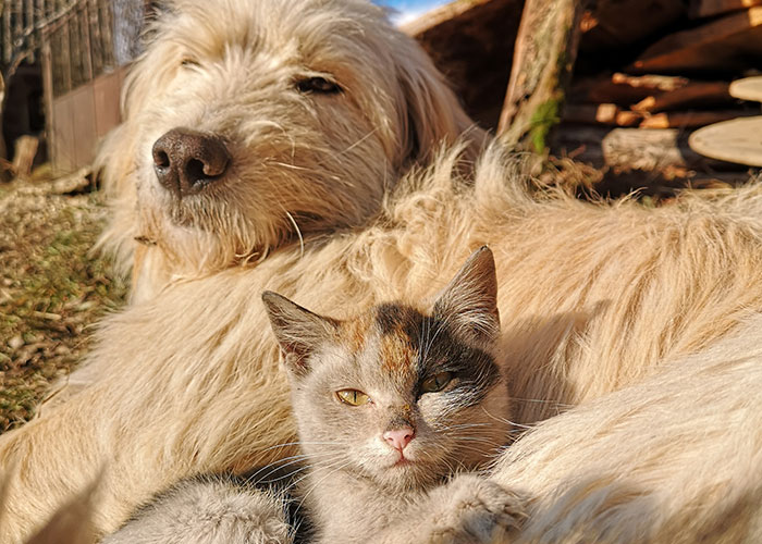 30 On-The-Nose Facts That Many Of Us May Feel Stupid For Not Realizing Earlier