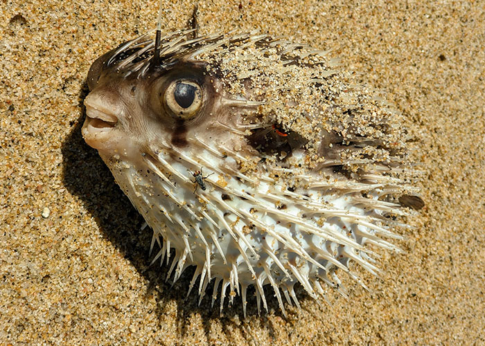 30 On-The-Nose Facts That Many Of Us May Feel Stupid For Not Realizing Earlier