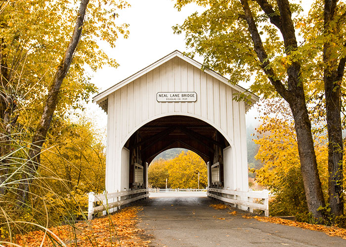 30 On-The-Nose Facts That Many Of Us May Feel Stupid For Not Realizing Earlier