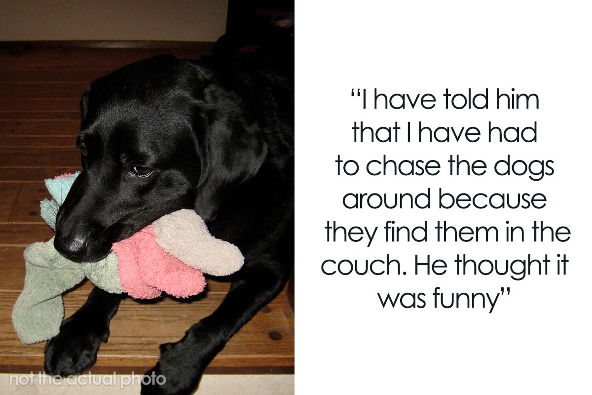 Guy Gets Tired Of His Boyfriend's Socks Being Scattered All Over Their  Home, "Unionizes" With Their Dogs Against Him | Bored Panda