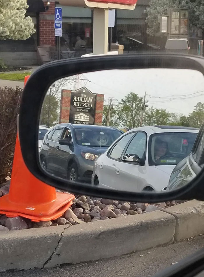 Funny panda sitting in a car car mirror reflection 