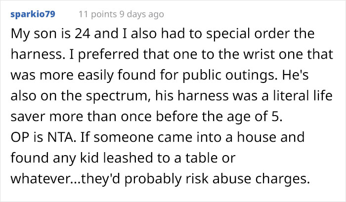 “Am I The Jerk For Telling My Sister She Is Too Heavy And Lazy To Watch My Kid?”