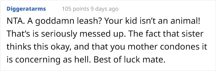 “Am I The Jerk For Telling My Sister She Is Too Heavy And Lazy To Watch My Kid?”