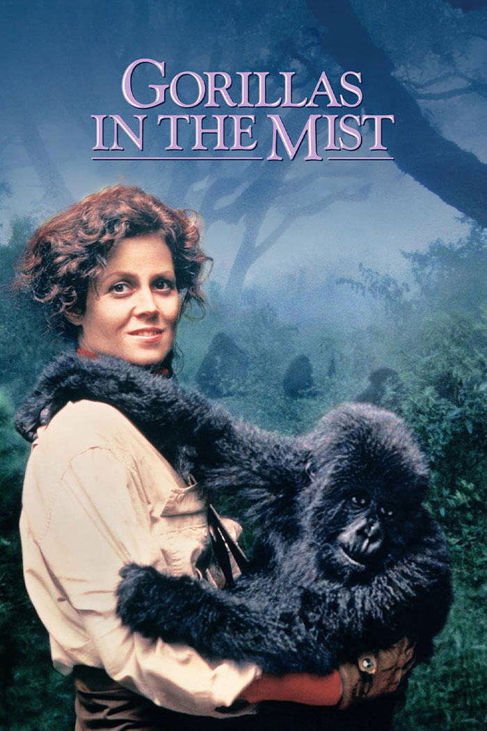 Gorillas In The Mist