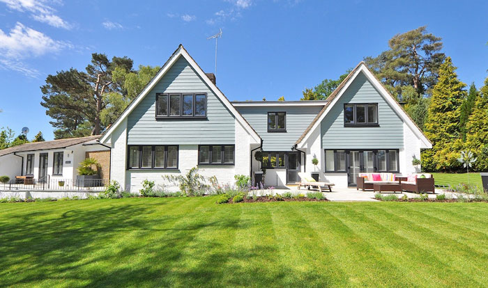 “I Quickly Discovered Running Bamboo”: Homeowner Takes Revenge On Inconsiderate Neighbor Refusing To Shift His Security Light “I Quickly Discovered Running Bamboo”: Homeowner Takes Revenge On Inconsiderate Neighbor Refusing To Shift His Security Light