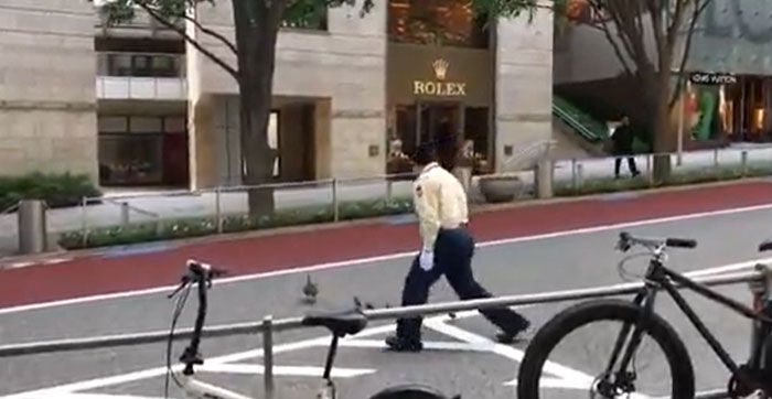 Traffic Officer Protects Mother Duck And Her Ducklings Crossing The Road In Tokyo