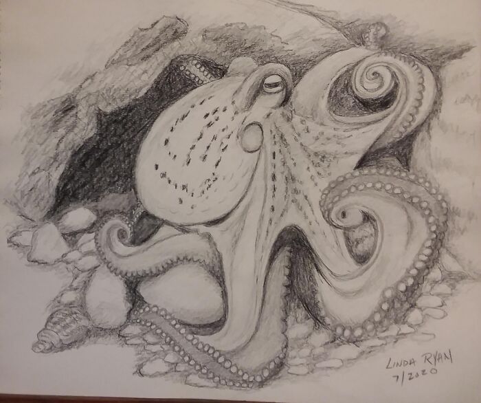 This Was The Last Sketch I Drew Before My Husband Passed Away In 2020