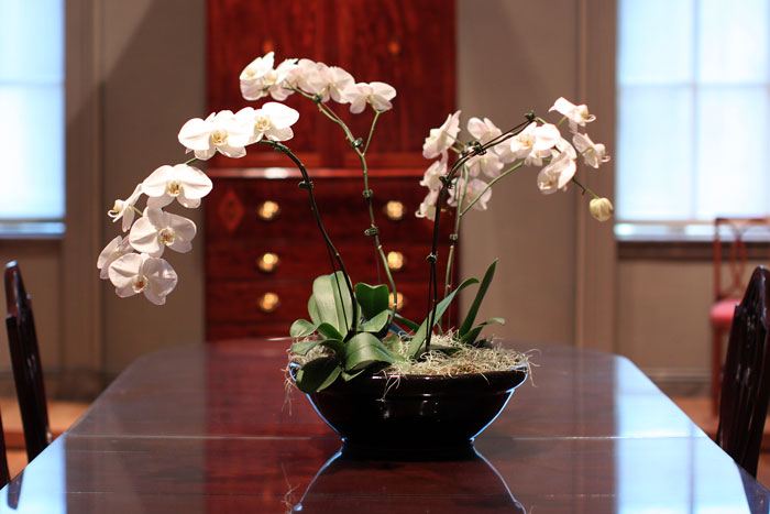 Therapist Explains The Science Behind The ‘Orchid Vs. Dandelion’ Theory, Goes Viral On TikTok