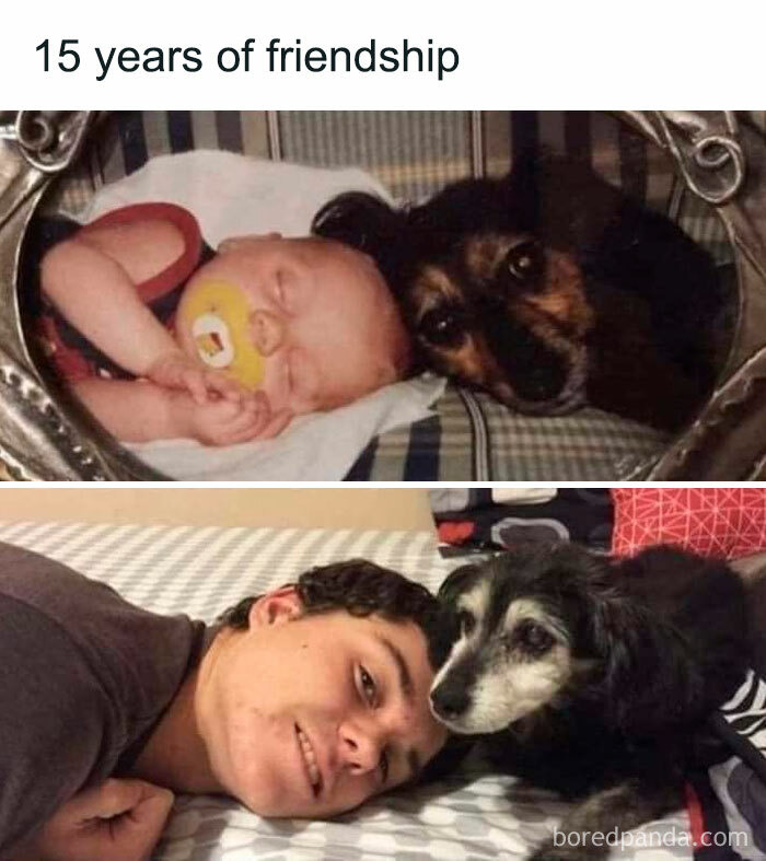 Truly Man's Best Friend!