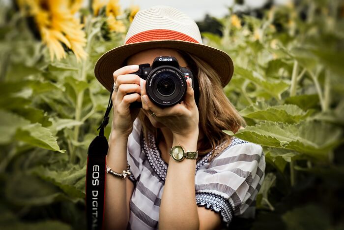 Woman Taking Photos Surrounded By Sunflowers 