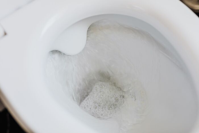 Flushing The Toilet 