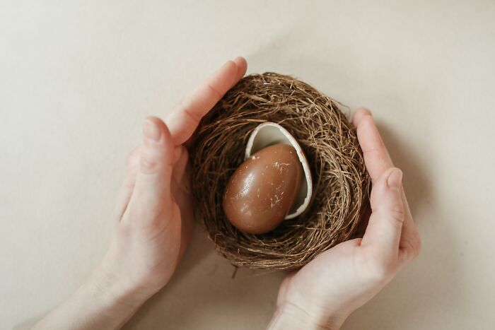 Kinder Chocolate Egg In A Birds Nest 