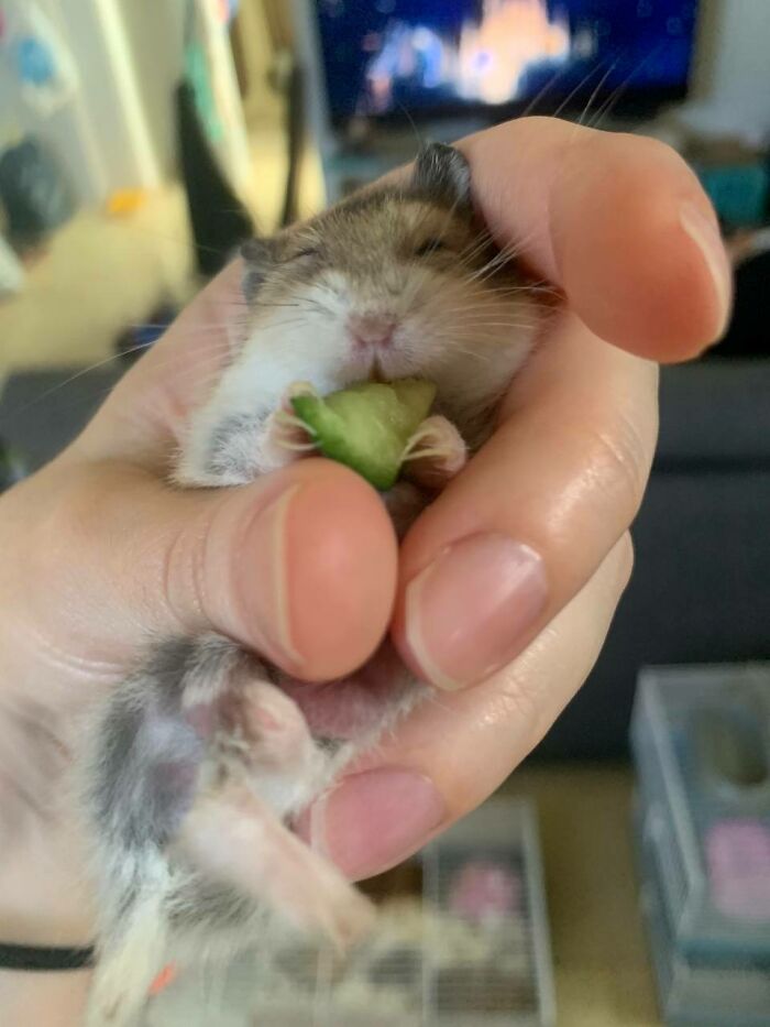 Look At Those Little Hands