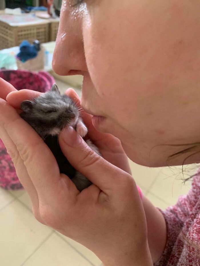 Me Kissing My Little Barry (I Named Him After Flash's Name)