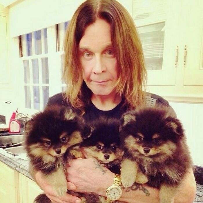 Ozzy Osbourne With His Three Dogs