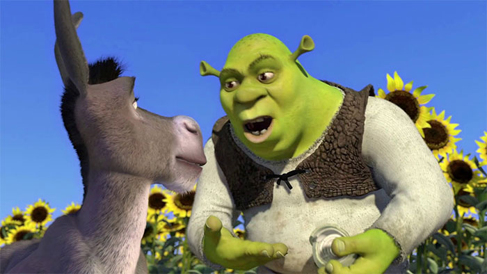 Shrek talking with Donkey