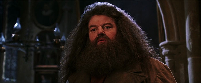Hagrid talking