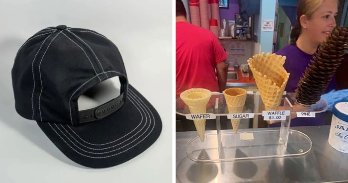 50 Things In Places They Shouldn’t Be That Are Both Hilarious And Concerning (New Pics)