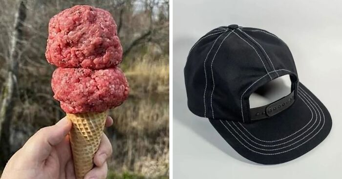 50 Things In Places They Shouldn’t Be That Are Both Hilarious And Concerning (New Pics)