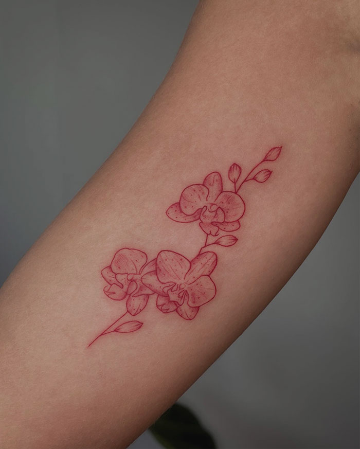Red Ink Orchid Tattoo